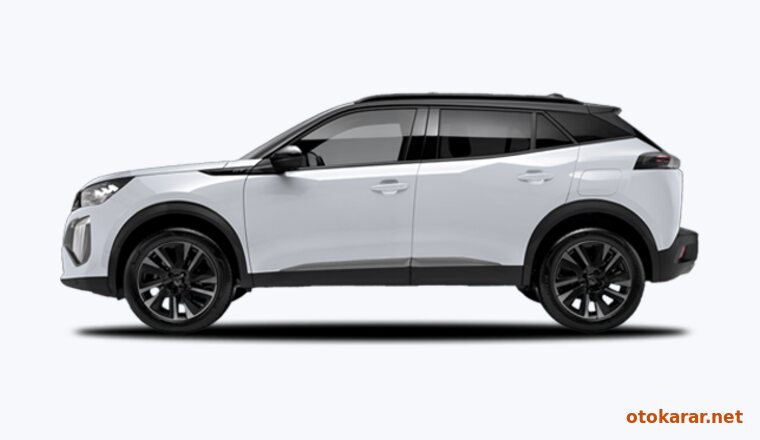 Peugeot 2008 — Okenit Beyaz