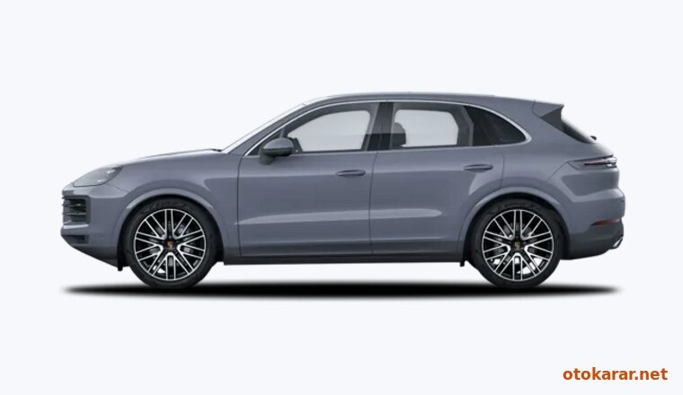 Arctic Grey
