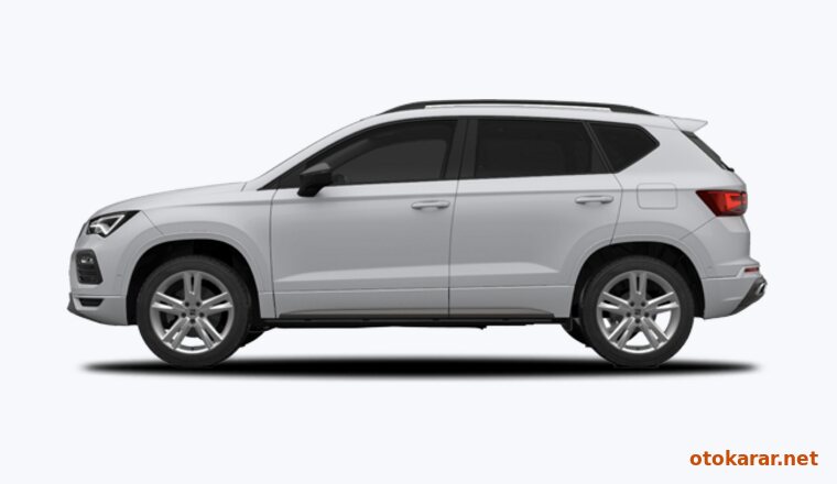 SEAT Seat Ateca — Buzul Beyazı