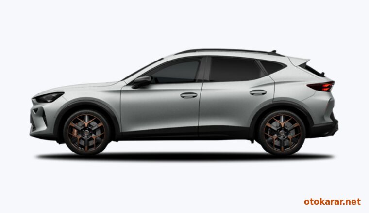 Cupra Formentor — Buzul Beyazı